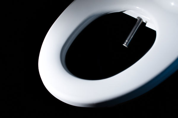 Cascade 3000 bidet seat by Dignity Solutions